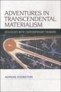 Adventures In Transcendental Materialism - Preview