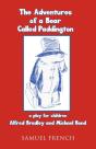 Adventures Of A Bear Called Paddington - Preview