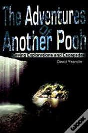 Capa do artigo Adventures Of Another Pooh