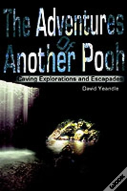 Capa do artigo Adventures Of Another Pooh