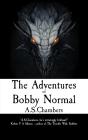 Adventures Of Bobby Normal - Preview