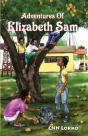 Adventures Of Elizabeth Sam - Preview