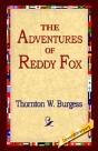 Adventures Of Reddy Fox - Preview