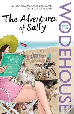 Capa do artigo Adventures Of Sally