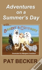 Adventures On A Summer'S Day