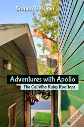 Adventures With Apollo