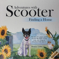 Capa do artigo Adventures With Scooter