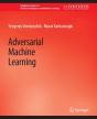Adversarial Machine Learning - Preview