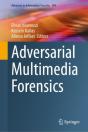 Adversarial Multimedia Forensics - Preview