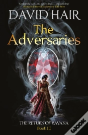 Capa do artigo Adversaries