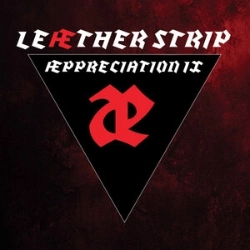 Capa do artigo Æppreciation IX - CD