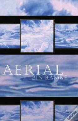 Capa do artigo Aerial