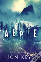 Capa do artigo Aerie