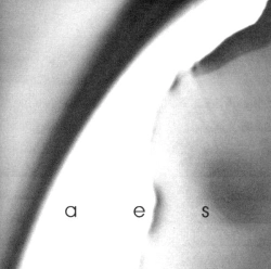 Capa do artigo Aes - CD