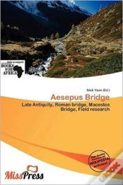 Capa do artigo Aesepus Bridge