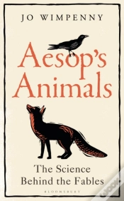 Capa do artigo Aesop