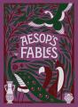 Aesop'S Fables (Barnes & Noble Collectible Editions) - Preview