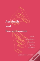 Aesthesis And Perceptronium