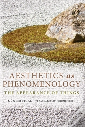 Aesthetics As Phenomenology