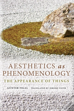 Capa do artigo Aesthetics As Phenomenology
