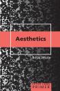 Aesthetics Primer - Preview