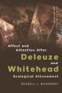 Affect And Attention After Deleuze And Whitehead - Preview