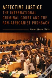 Capa do artigo Affective Justice