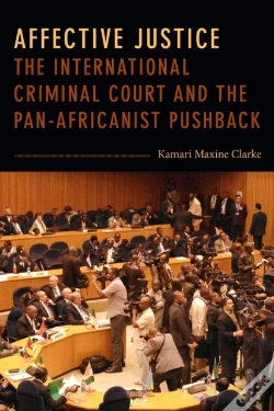 Capa do artigo Affective Justice