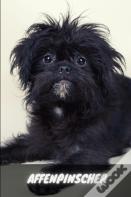 Affenpinscher