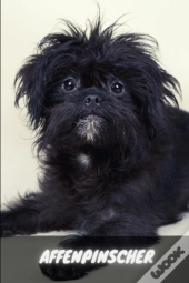 Affenpinscher
