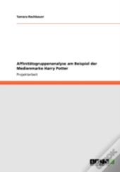 Affinitaã‚Â¤Tsgruppenanalyse Am Beispiel Der Medienmarke Harry Potter
