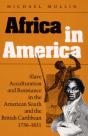 Africa In America - Preview
