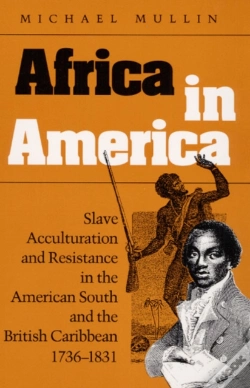 Capa do artigo Africa In America