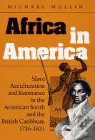 Africa In America