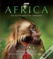 Capa do artigo Africa