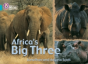 Africaâ€™S Big Three - Preview