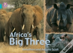 Capa do artigo Africaâ€™S Big Three