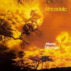 Capa do artigo Africadelic - CD