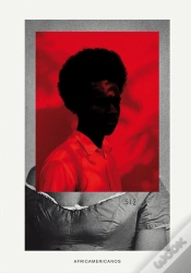 Capa do artigo Africamericanos