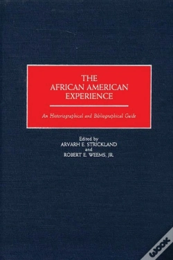 Capa do artigo African American Experience