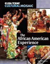 Capa do artigo African American Experience