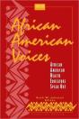 African American Voices - Preview
