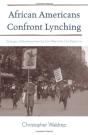 African Americans Confront Lynching - Preview