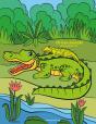 African Animals Coloring Book 5 & 6 - Preview