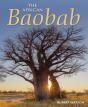 African Baobab - Preview