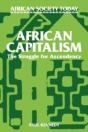 African Capitalism - Preview
