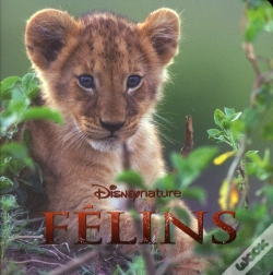Capa do artigo African Cats, Disney Monde Enchante