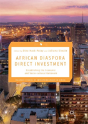 African Diaspora Direct Investment - Preview