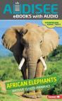 African Elephants - Preview