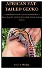 African Fat-Tailed Gecko - Preview